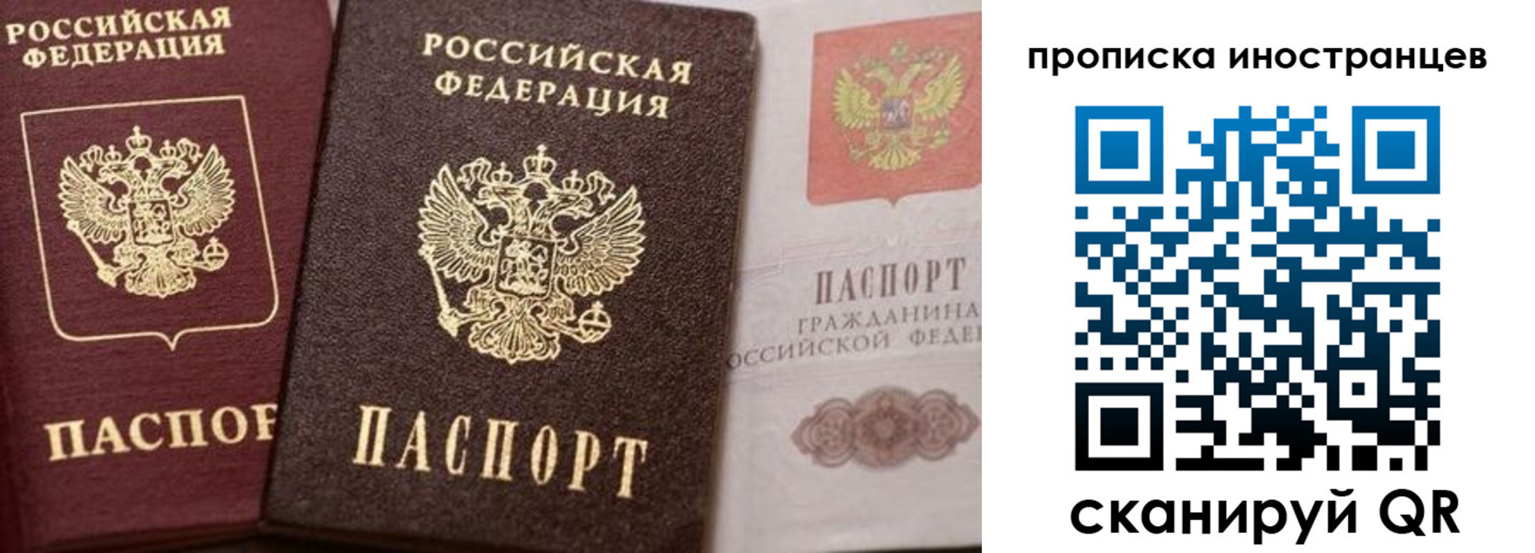 прописка гарантия в Находке